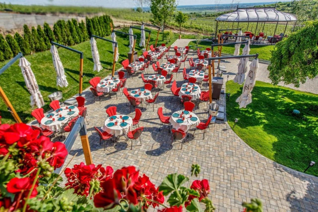 Casa Timis - Wellness & Spa Resort Chitorani Exterior foto Terrace of the restaurant
