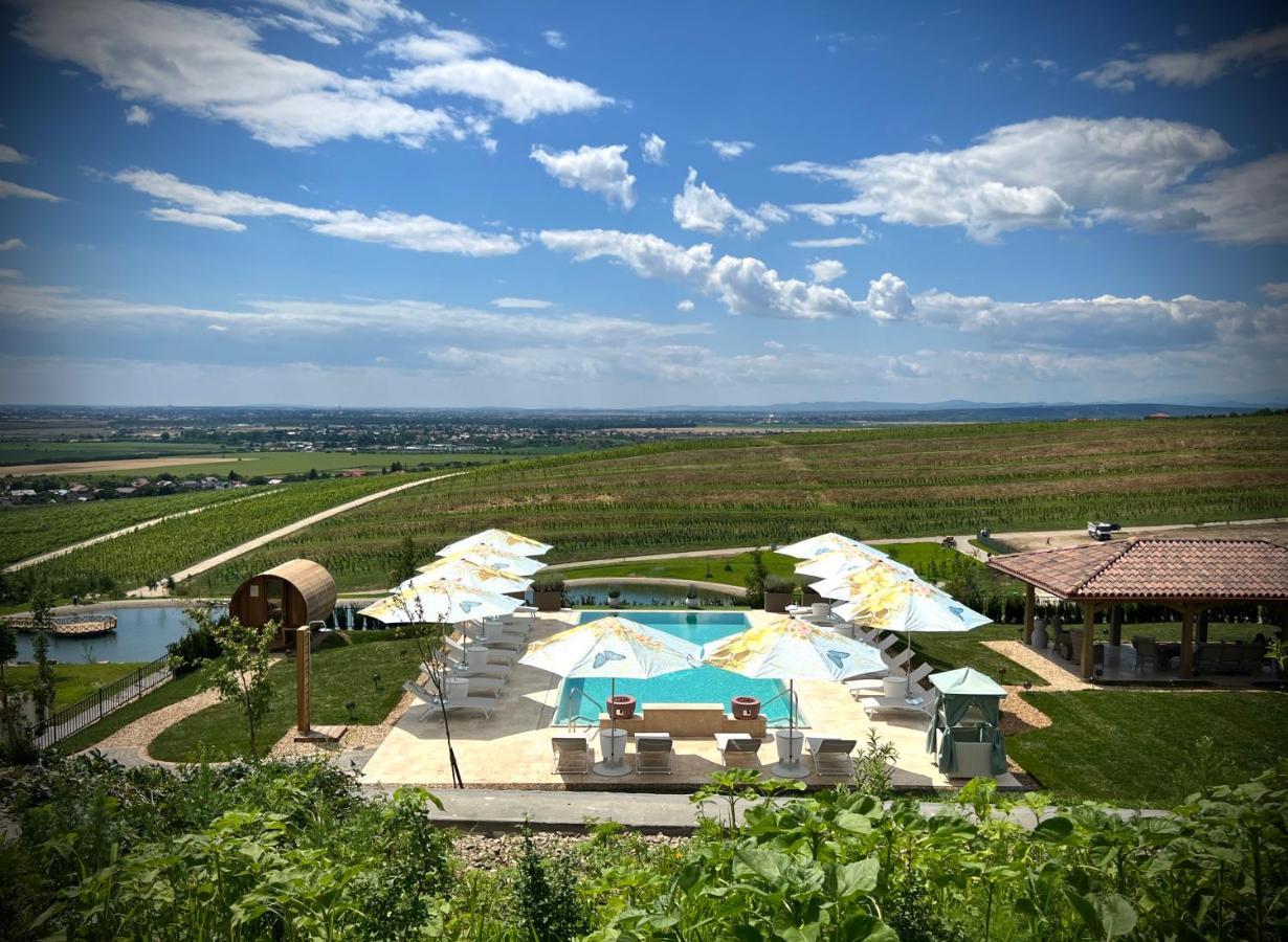 Casa Timis - Wellness & Spa Resort Chitorani Exterior foto View of the resort