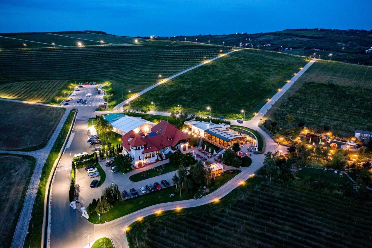 Casa Timis - Wellness & Spa Resort Chitorani Exterior foto Aerial view of the winery